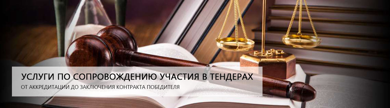 Сопровождение в тендерах и закупках